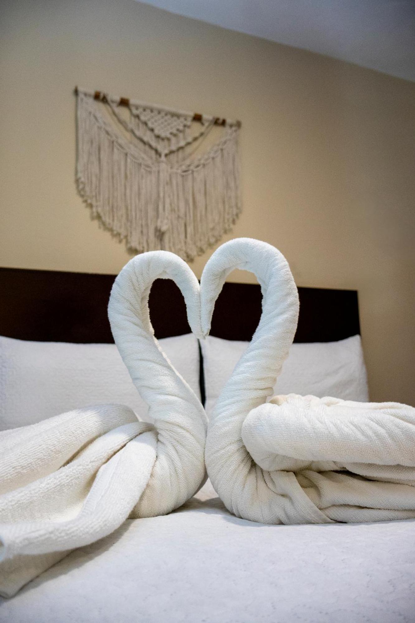 Ammare Hotel Boutique プレヤデルカーメン エクステリア 写真